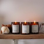Vegan Hotel Wellness Solutions